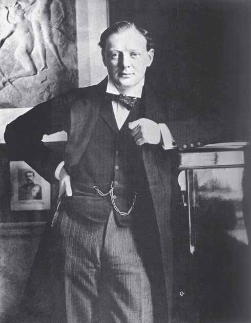 Volume II: Young Statesman, 1901-1914