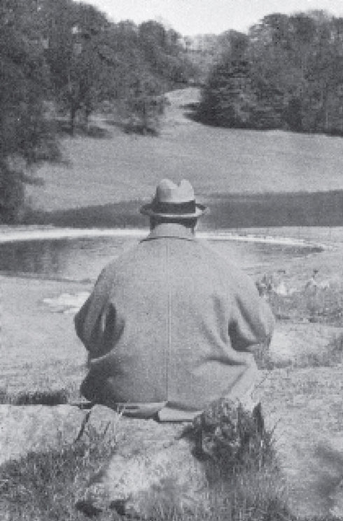 Volume VIII: Never Despair, 1945-1965