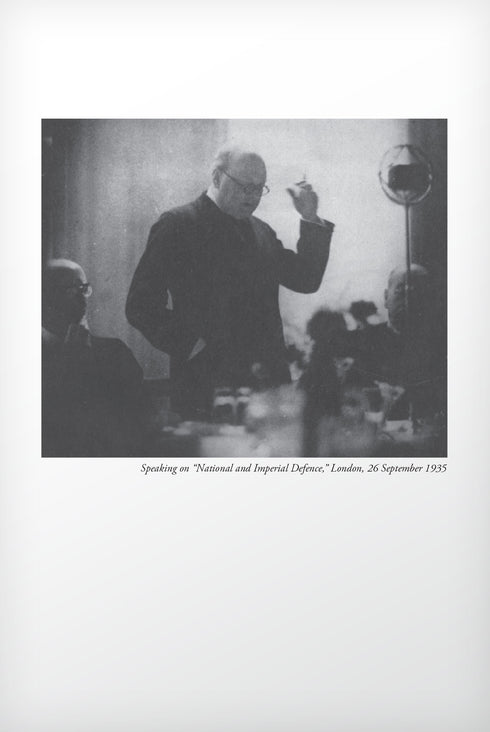 Volume 12: The Wilderness Years, 1929-1935